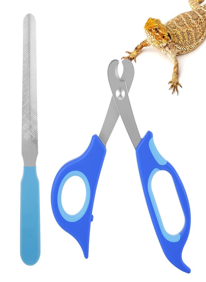 Qiuruoo Bearded Dragon Nail Clippers,Stainless Steel Bearded Dragon Accessories,Professional Grooming pet Tools Including Nail File and Scissors for Small Reptiles,Chameleon,Cats,Dogs,Iguana - Image 1